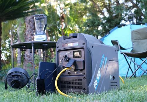 Pulsar Products GX400BN, 4000W Portable Ultra-Quiet Dual Fuel & Parallel Capability, RV-Ready, Handle & Wheels, with CO - style: 4000 Watts + Dual Fuel + Wheel Kit + RV Ready + CO Shutdown