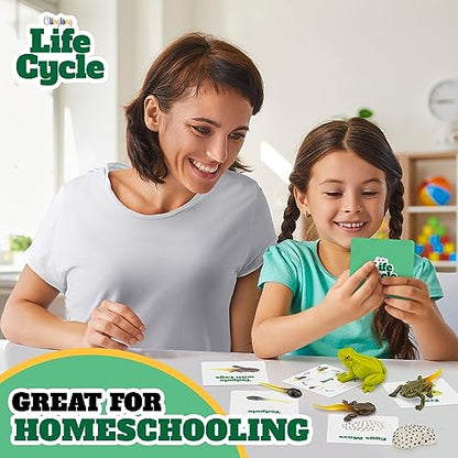 Life Cycle Kit Montessori - Realistic Figurine Toys, Animal Matching Game Frog Animals, Easter Basket Stuffers for Kids, Science Fun for Learning Education Toys - style: Life Cycle - Frog