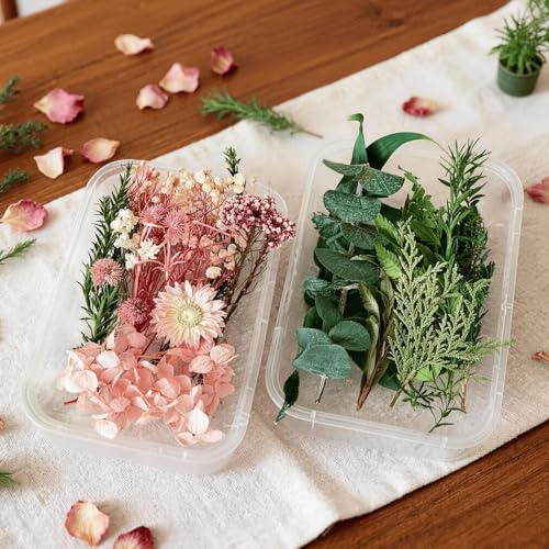 2PCS Dried Flowers Kit, Natural Dried Flowers Kit for DIY Crafts, Scrapbook, Card Making (Stye2_13) - color: Stye2_13