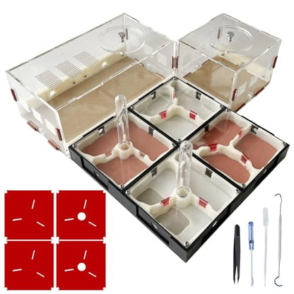 Ant Farm Nest Science DIY Terrarium Kit Care for Live Ants Ant Habitat with Water Tower Nurturing Room and Comprehensive Observation - size: 12