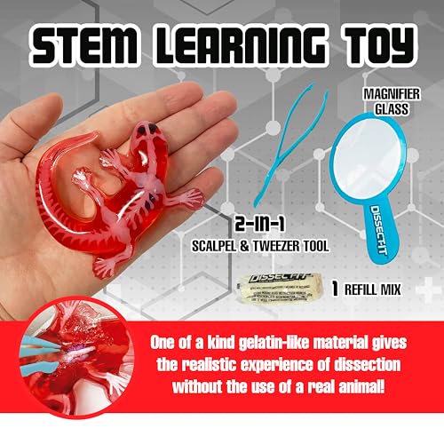 Top Secret Toys Dissect-It Mini Labs Salamander Dissection Kit for Kids, Realistic Synthetic Kids Science Kit - On, Biology and Animal Anatomy, STEM Toy, Ages 6+ - style: Mini Salamander