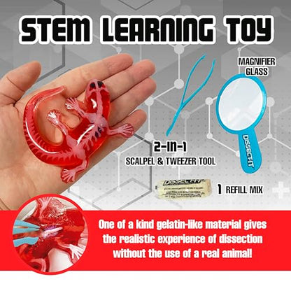 Top Secret Toys Dissect-It Mini Labs Salamander Dissection Kit for Kids, Realistic Synthetic Kids Science Kit - On, Biology and Animal Anatomy, STEM Toy, Ages 6+ - style: Mini Salamander