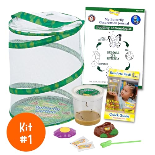 Insect Lore Bug Camp Bundle - Butterfly Kit with 5 Live Caterpillars, Ladybug Land with 1 Tube Live Larvae, Ant Mountain with 1 Tube Live Western Harvester Ants - Bonus Life Cycle Figurines & More