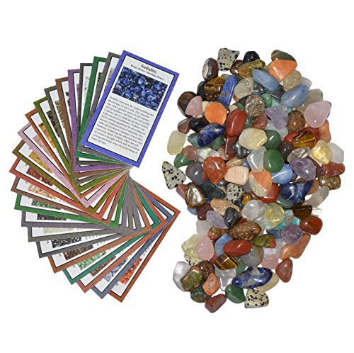Fantasia Materials: 2 lbs XSmall Tumbled Polished Natural Gem Stones with Educational Rock Information and Identification Cards - avg 0.50" to 1" - color: #B: Xsmall, size: 2 lb Lot - Standard Pack