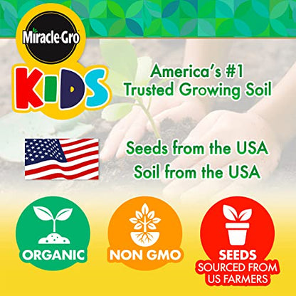 Creative Kids Miracle GRO Dinosaur Garden Kit, Multicolor - style: Dinosaur Garden