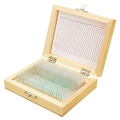Jiusion 25Pcs Prepared Microscope Slides Set with Fitted Wooden Case
