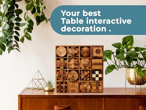 BSIRI 16 in 1 Wooden Brain Teaser Puzzles for Adults and Seniors Interlocking 3D Mini Wood Mind Games Hand Puzzle Teasers Set Toys Coffee Table Games Gift - style: 16 Puzzle Set