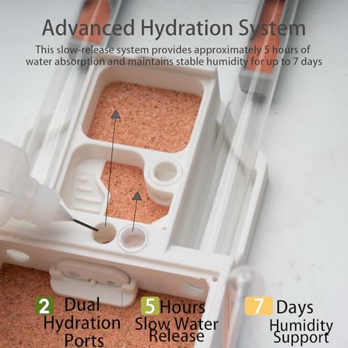 StackCore Stackable Series - White Hybrid (Tube-and-Flat Ant Nest) with Starter Tool Kit - size: White Hybrid