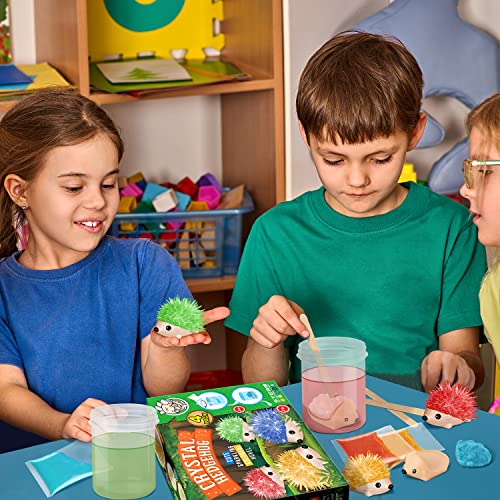 Crystal Growing Kit - 4 Vibrant Hedgehogs Fast 24H, STEM Gift for Kids 6-12 - color: 4 Hedgehog Crystal