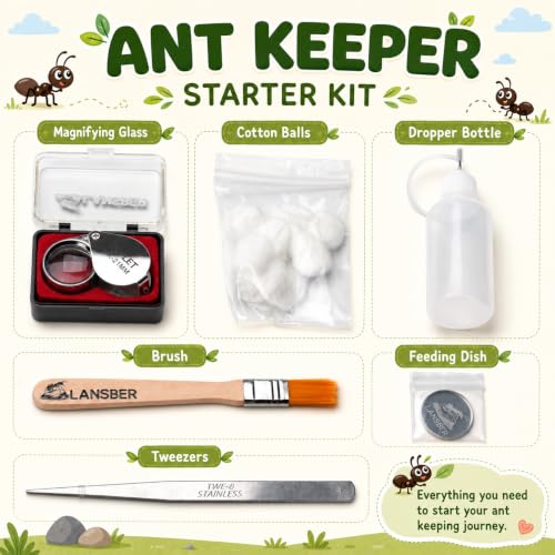PADA Series 3D Light Nest Ant Farm with Activity Arena Modular Kit - size: Light Nest Kit