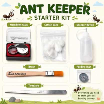 PADA Series 3D Light Nest Ant Farm with Activity Arena Modular Kit - size: Light Nest Kit