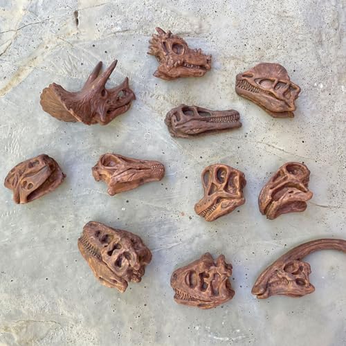 Safari Ltd Dinosaur Skulls TOOB - 11 Mini Figurines Including Velociraptor, Brachiosaurus, Oviraptor, Triceratops, Tyrannosaurus Rex and More - Educational Toy Figures for Boys, Girls & Kids Ages 3+