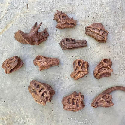 Safari Ltd Dinosaur Skulls TOOB - 11 Mini Figurines Including Velociraptor, Brachiosaurus, Oviraptor, Triceratops, Tyrannosaurus Rex and More - Educational Toy Figures for Boys, Girls & Kids Ages 3+