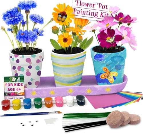 Pinwheel Crafts Flower Pot Painting Kit for Kids Ages 8-12, Seeds and Soil - style: Painting Kit with Seeds and Soil