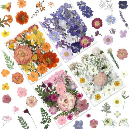 LUXEEASE 4-Color 80P Natural Dried Pressed Flowers - color: Orange/Purple/Pink/Neutral 80p