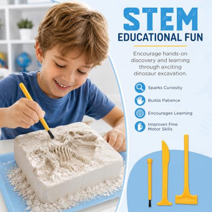 Ciieeo 3-piece Kids Digging Tool Set for Dinosaur Excavation