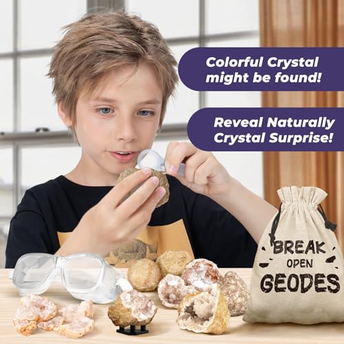 Geode Kit, Break Open 10 Premium Geodes & Crystals, STEM Toy