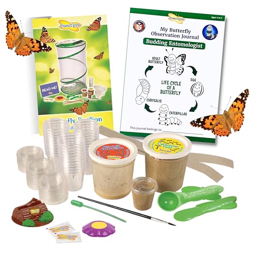 Insect Lore School Kit Refill with 33 Live Caterpillars - STEM Activity Journal & 33 Live Baby Painted Lady Butterfly Caterpillars - Cups & Tools Included - style: Refill For School kit 33