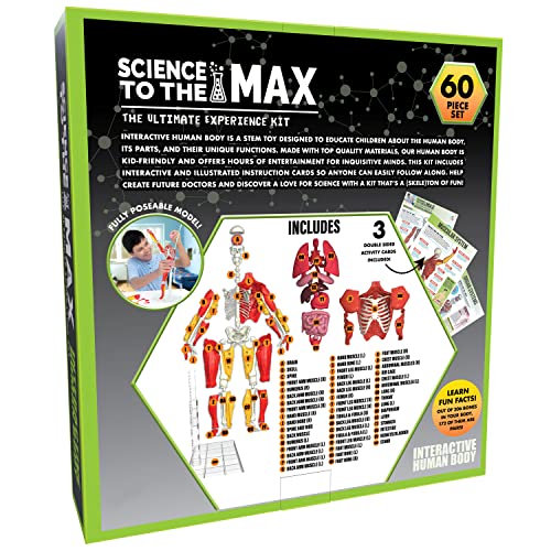 Be Amazing! Toys Interactive Human Body Anatomy Figure, 60 Pieces, Ages 8+