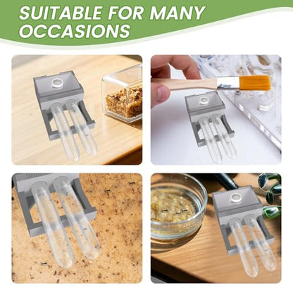 Transparent Mini Ant Farm with Dual Test Tubes for Thriving Ant Colony Observation (Gray) - color: Gray