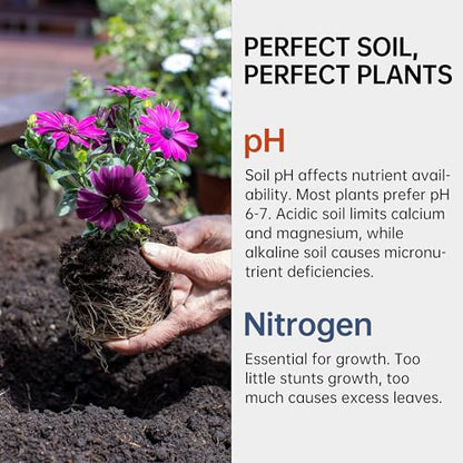 AAwipes Soil pH & Nitrogen Test Kits 2 in 1 Soil Testing Kits with Test Tube 100 Pcs Test Soil for Garden Lawn Grass Flower Vegetable Compost Nutrients Plants (J02-100)