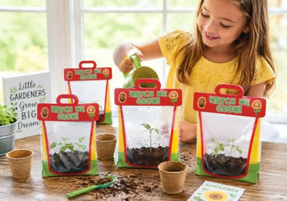 Fun Express Clear Vinyl Pocket Greenhouses - 12 Pack Kids STEM Gardens