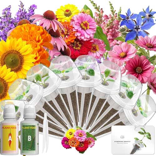 LYKOCLEAN Herb Seed Pod Kit Compatible with AeroGarden Hydroponics Growing System, Complete Indoor Gardening Supply (Vibrant Flower, 8-pods) - color: Vibrant Flower, size: 8-pods