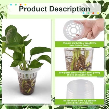 50 Pack Plastic Nursery Pots for Plants Terrarium Plant Propagation Station Tabletop Planting Vase with Hydroponic Baskets 4.5 In Clear Hydroponic Seed Pots for Indoor Plants Home Office Desktop Decor