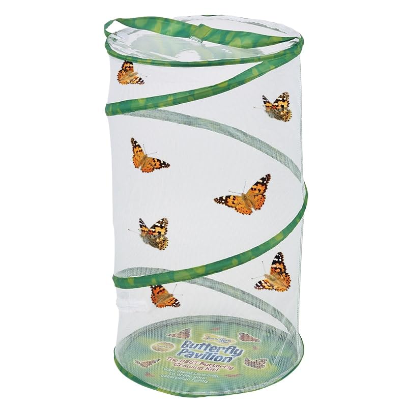 Insect Lore Butterfly Pavilion with Two Live Cups of Caterpillars - 2ft Tall Habitat, STEM Butterfly Journal, 10 Live Baby Caterpillars - Life Science Education Kit - Raise Painted Lady Butterflies