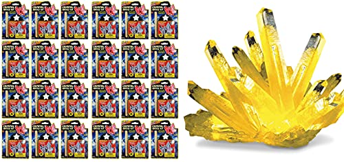 Magic Grow a Crystal Kit (24 Sets) | Growing Crystals Science Kit Toys for Kids and Adults. Party Favors Supplies in Bulk. Plus 1 Sticker #5423-24s 24 Packs