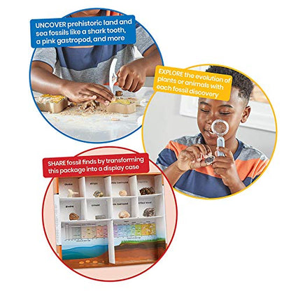 hand2mind Dig & Display Fossil Dig Kit, Fossil Display Case, 8 Real Fossils to Uncover, Dig Kits for Kids, Fossil Digging Kit for Kids, Excavation Kit for Kids, Fossil Science, Archeology Kits