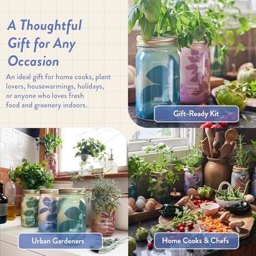 Modern Sprout Mason Garden Jar - Self-Watering Hydroponics Kit - Mint - color: Mint, size: Garden Jars