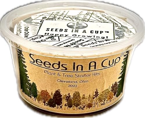 Seeds In A Cup® Pumpkin Grow Kit – Indoor Gardening Starter Set to Grow Mini Pumpkins, Fun Educational Gift for Kids & Adults, Quick Sprouting Greenhouse Planter