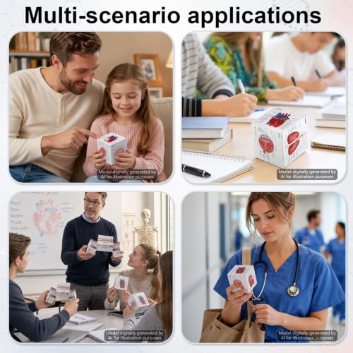 MinFyberd Human Anatomy Study Cube 2.76" Anatomical Poster Study 9 Parts of The Human Body Heart Brain Lung Skin Muscular Skeletal Digestive etc Medical Student Learning Tool Gift for Students & Nurse