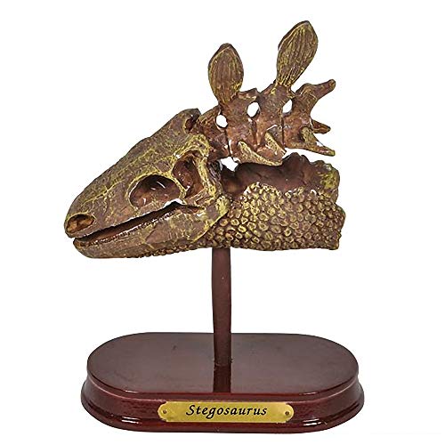 ArtCreativity Dinosaur Excavation Kit for Kids, 5.5” Stegosaurus Skull Excavating Set with Fossil Digging Tools and Stand, Fun Science Activity Toy, Educational Dinosaur Gift for Boys and Girls - style: Stegosaurus