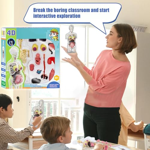Human Body Model for Kids | Pregnancy Skeleton Model Toy | Anatomical Assembly Educational Toys for Children Classroom Students Learning Enthusiasts Preschool