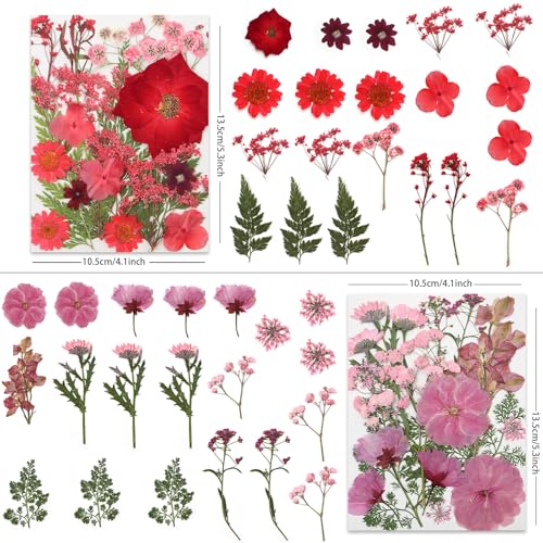 LUXEEASE 80P Vibrant Multicolor Dried Pressed Flowers - color: Warm Toned Flowers 80p