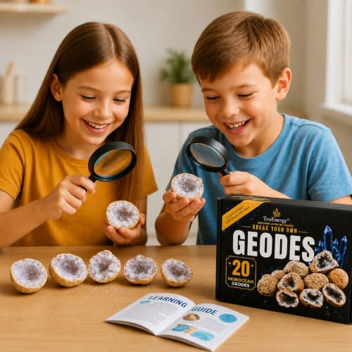 TruEnergy Break Your Own Geodes Kit – 20 Real Geodes 1.75"–2.5", 90% Hollow Rate, Crack Open & Discover Crystals – STEM Geology Rock Kit, Science Gift for Kids Ages 6+, Party Favors [Medium] - size: MEDIUM (1.5"-2.5")