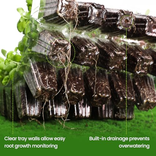 Bonviee Seed Starter Trays with Grow Lights, 80 Cells, 2 Pack - color: Clear, size: 2 Packs