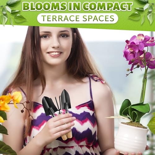 Mini Garden Tools for House Plants, Mini Shovel, Trowel & Hand Rake