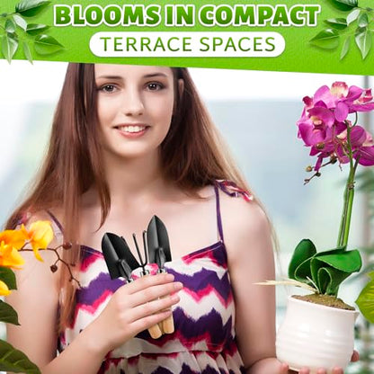 Mini Garden Tools for House Plants, Mini Shovel, Trowel & Hand Rake