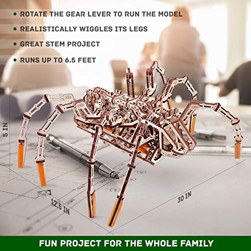 Wood Trick Spider 3D Wooden Puzzles for Adults to Build