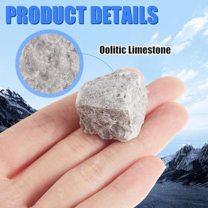 Tandefio 24 Pack Oolitic Limestone 1" Limestone Rock Sedimentary Specimens