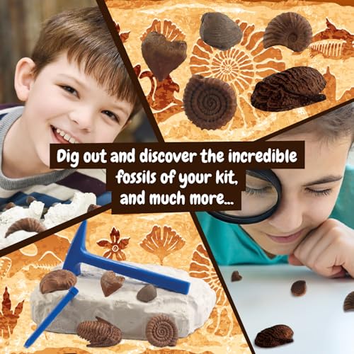 Science4you Fossil Digging Kit for Kids – Archeology, Excavation and Paleotology Kits for Kids, Fossil Dig, Stem Toy and Gift for Boys and Girls Age 6 7 8-12+ - style: 2. Fossil Excavation Kit