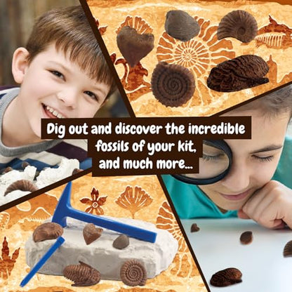 Science4you Fossil Digging Kit for Kids – Archeology, Excavation and Paleotology Kits for Kids, Fossil Dig, Stem Toy and Gift for Boys and Girls Age 6 7 8-12+ - style: 2. Fossil Excavation Kit