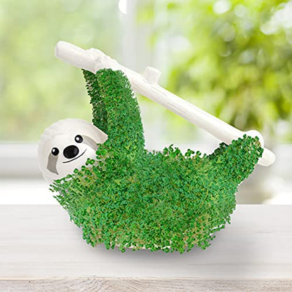 Sloth Shaped Chia Planter and Seeds. Desktop Sprouting Chia Animal. Fun Grow Kit Gift Idea - size: Sloth