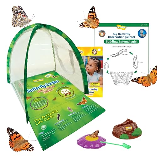 Insect Lore Butterfly Garden Experience | No Fee Prepaid Voucher | Redeem Raise and Release 5 Baby Painted Lady Caterpillars | Observation Habitat and All Supplies Included