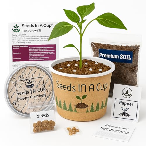 Seeds In A Cup- Pecan Tree Grow Kit – Tree Seed Starter for Kids & Adults | Indoor & Outdoor Planting | Easy Grow Your Own Tree Kit with Seed Growth Promise
