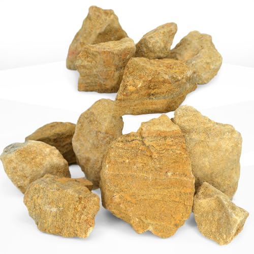 EISCO 12PK Raw Dolostone, Sedimentary Rocks - Approx. 1" - Geologist Selected & Hand Processed - Great for Science Classrooms - Class Pack