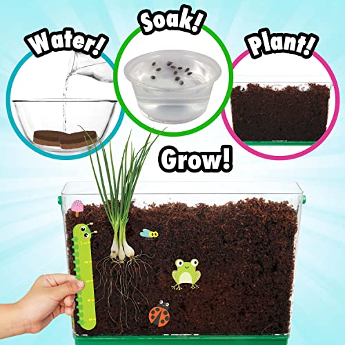 Creative Kids Miracle GRO Root Viewer Garden Kit - Educational STEM Set with Soil & Seeds for Kids Age 6+, Plant Growing Science Lab - style: My First Root Viewer